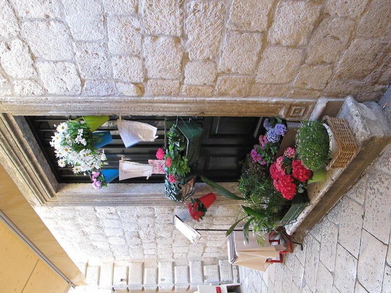 IMG_1124.jpg