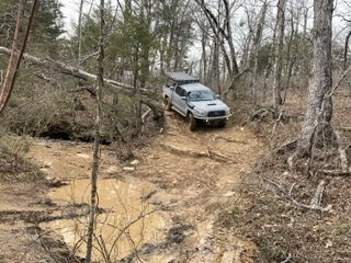 IMG_1132.jpg