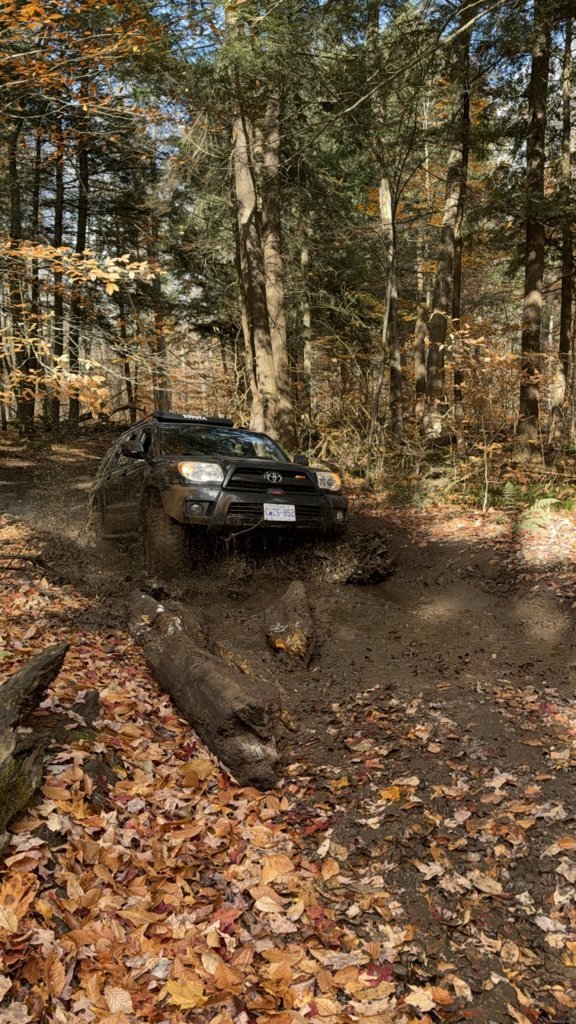 IMG_1136.jpg