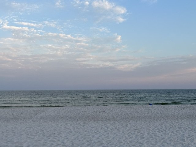 IMG_1155.jpg