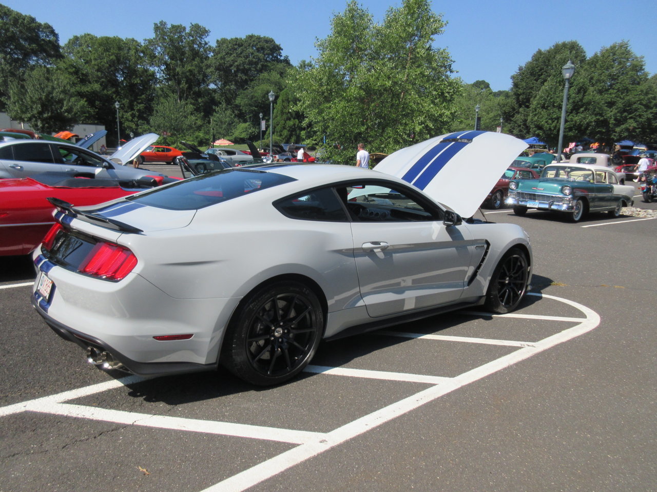 IMG_1166.jpg