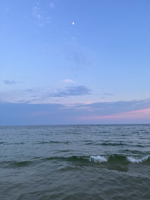 IMG_1166.jpg