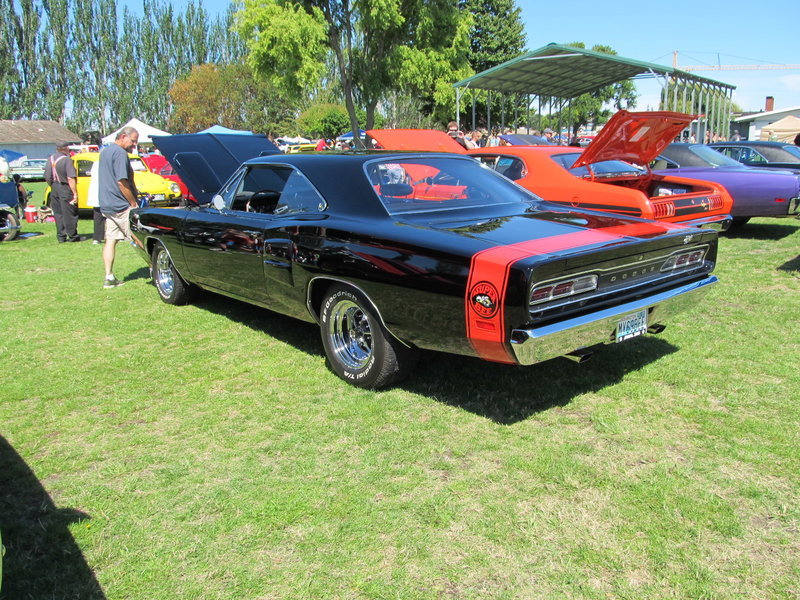 IMG_1172.jpg