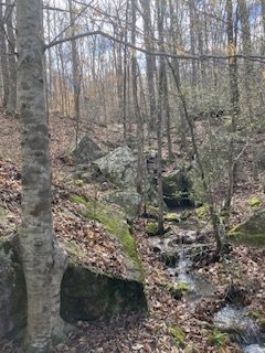 IMG_1178.jpg
