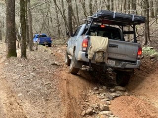 IMG_1193.jpg