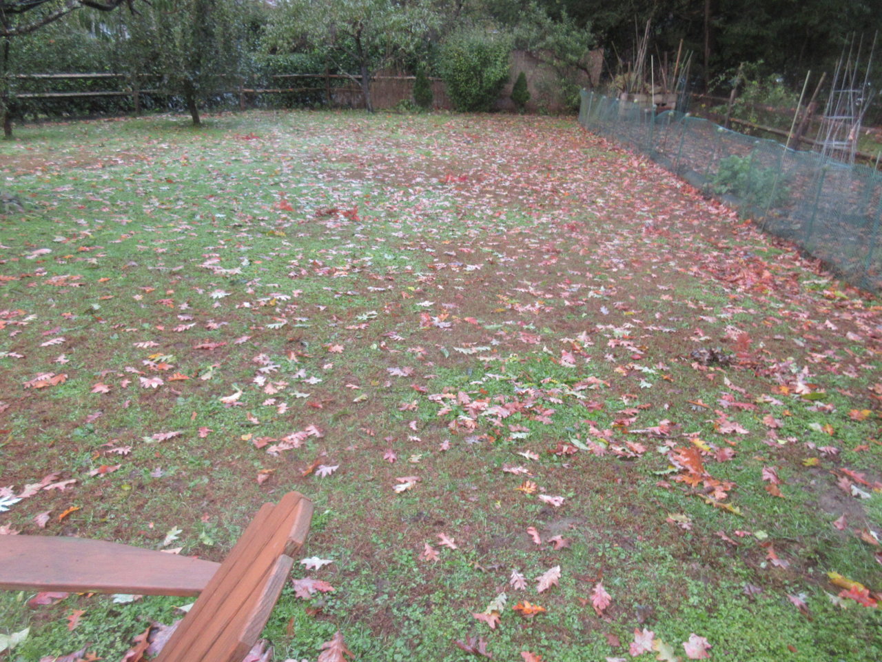 IMG_1252.jpg