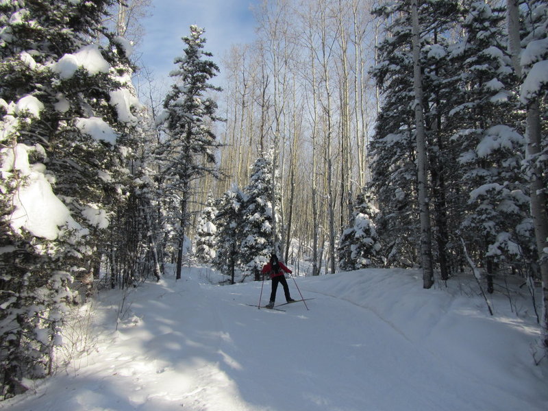 IMG_1263.jpg