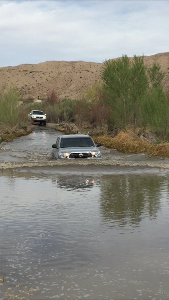 IMG_1265.jpg