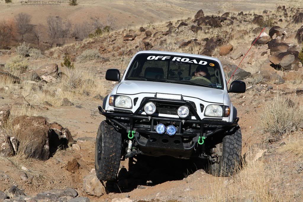 IMG_1271abq_zpsb3396b83_30ac25d7d6f47b0f6b008abc23e93f6cad5c0a4a.jpg