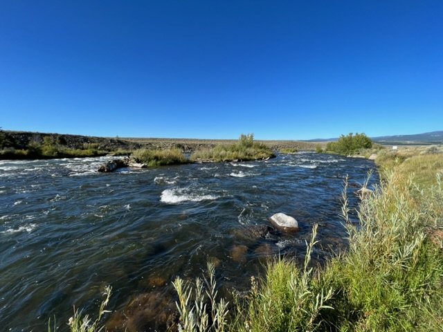 IMG_1284.jpg