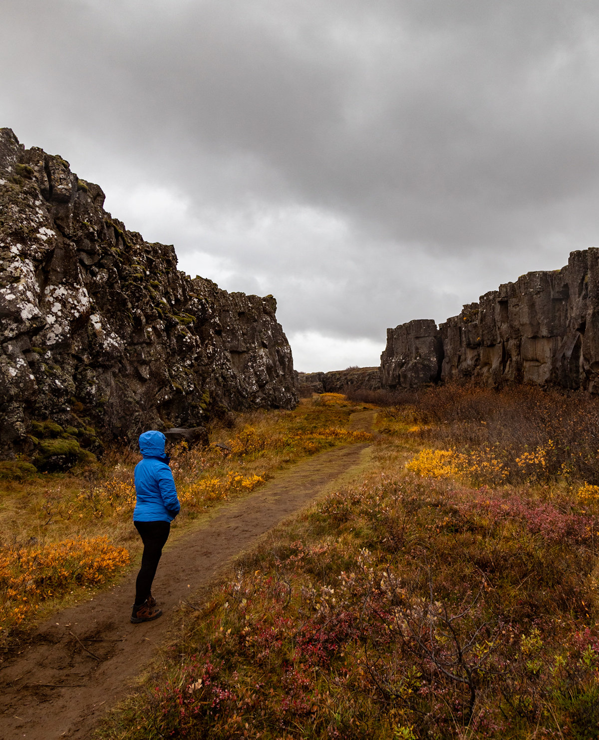 Iceland World