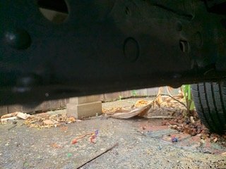 IMG_1287.jpg