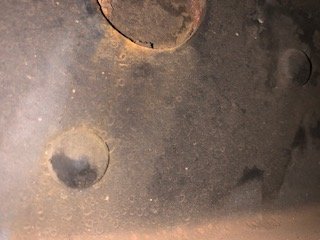 IMG_1307.jpg