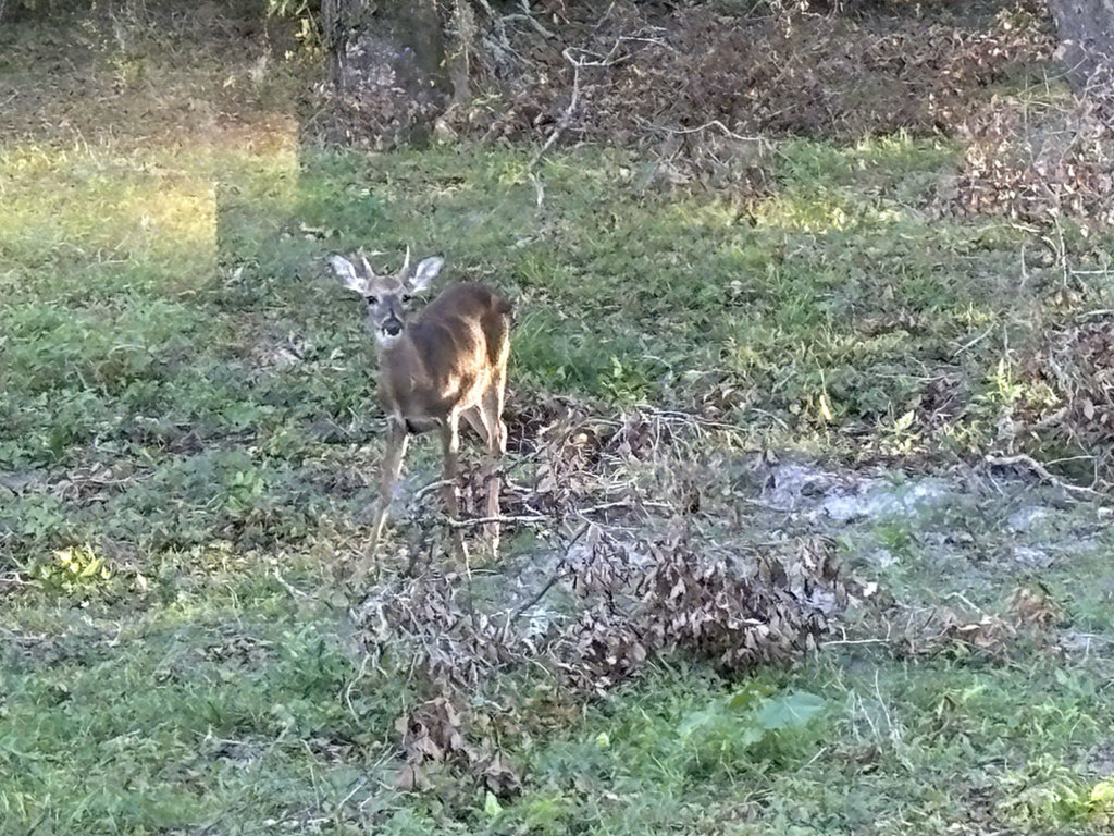 IMG_1324.jpg