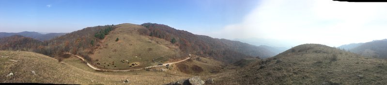 IMG_1331 4.jpg