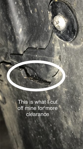IMG_1333.PNG.jpg