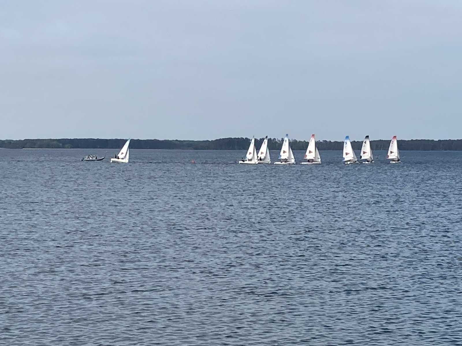 IMG_1341.jpg