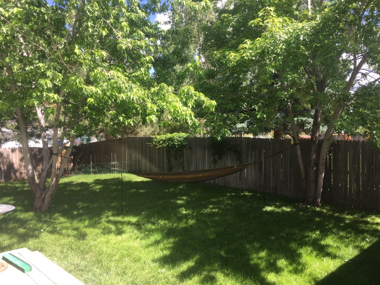 IMG_1361.jpg