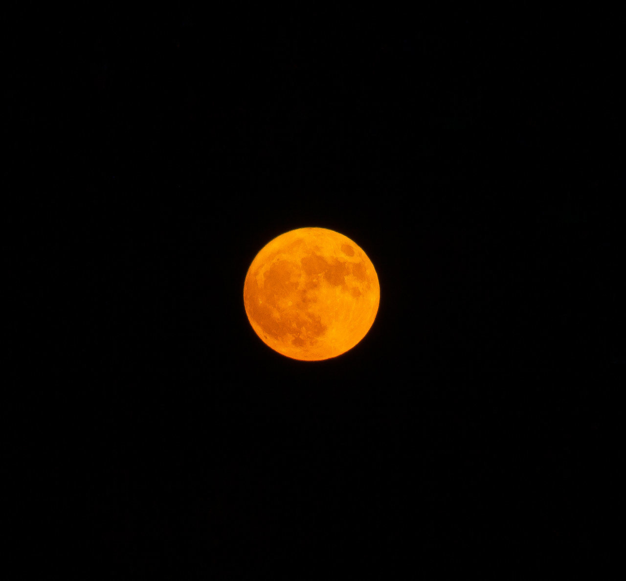 IMG_1392_edited.jpg