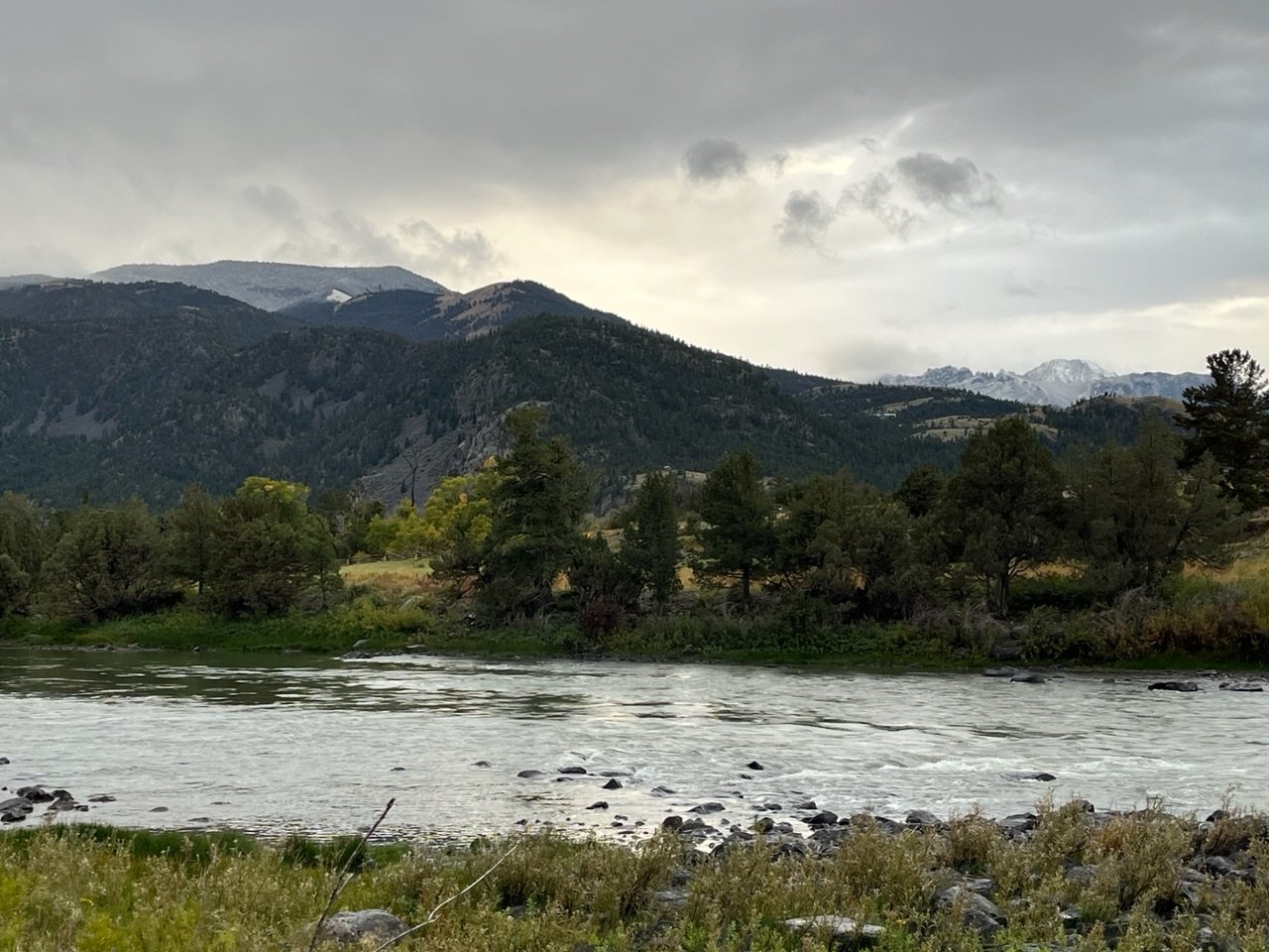 IMG_1398.jpg