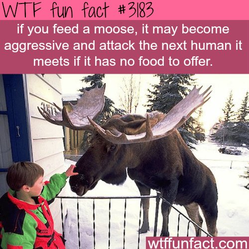 IMG_1464.png