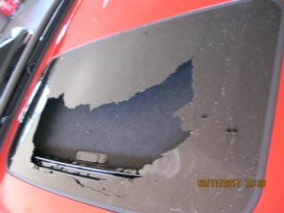 IMG_1473.jpg