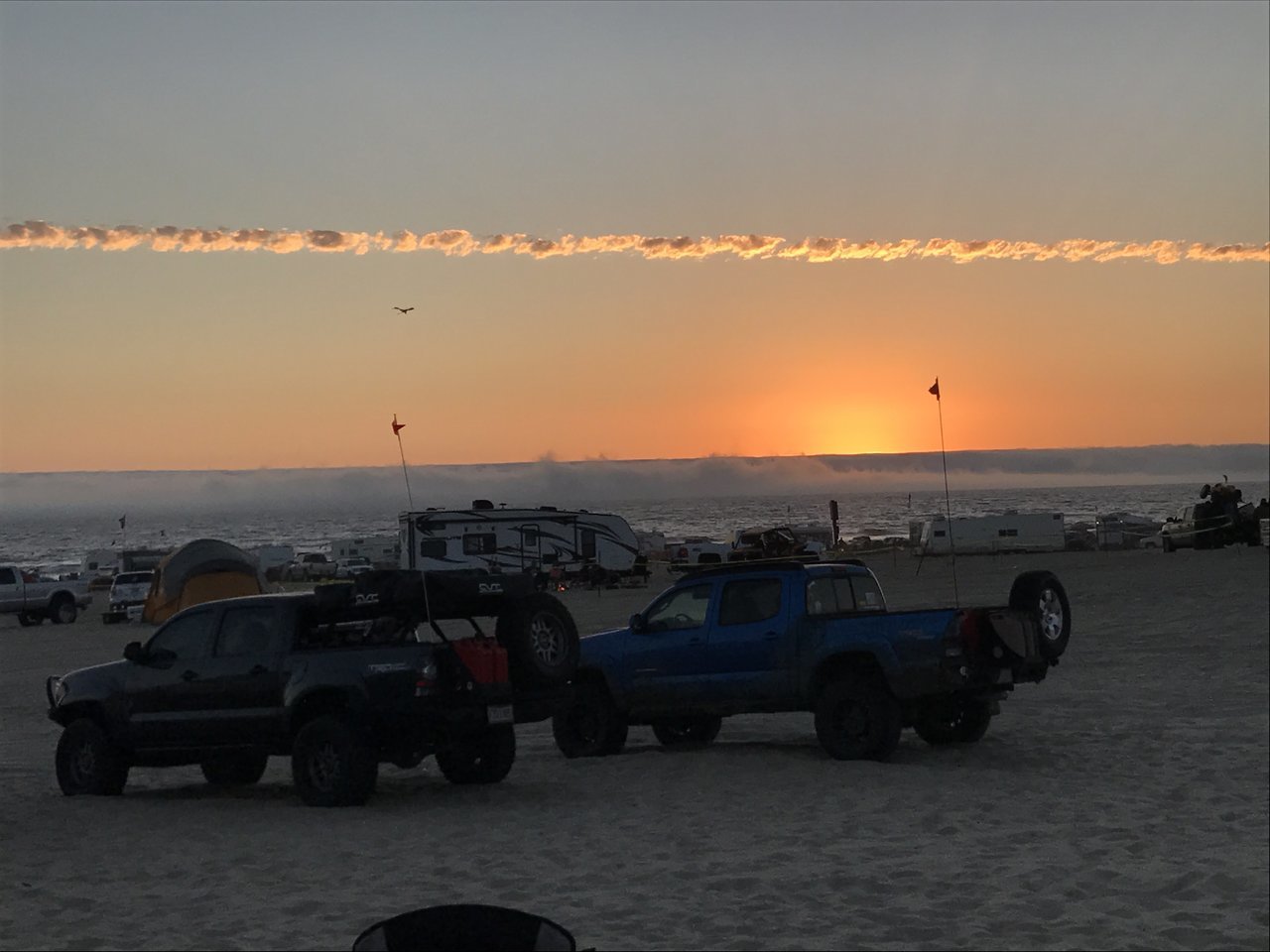 IMG_1481.jpg