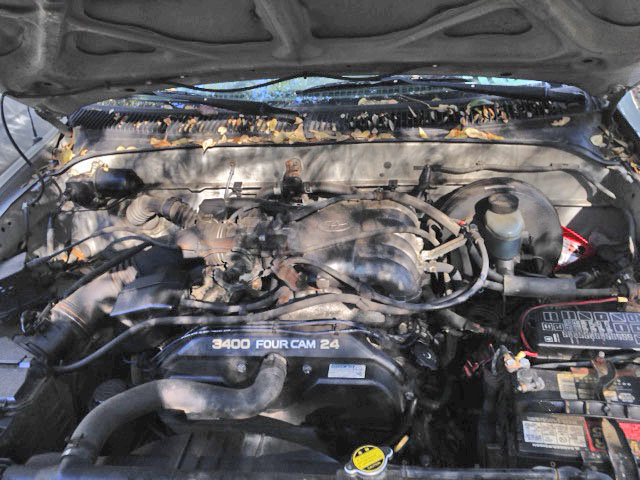 IMG_1499_zpshc7fz1nh_84b613c3831eea0562d5908d7538d0c33b0aec87.jpg