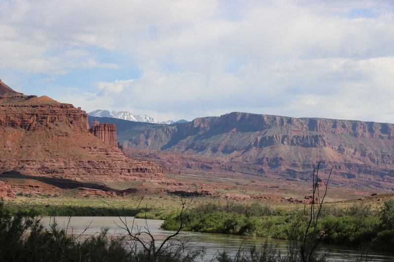 IMG_1514.jpg