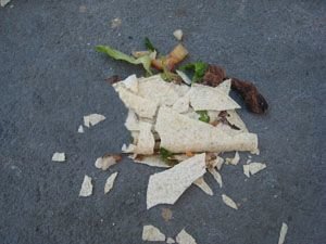 IMG_1514.jpg
