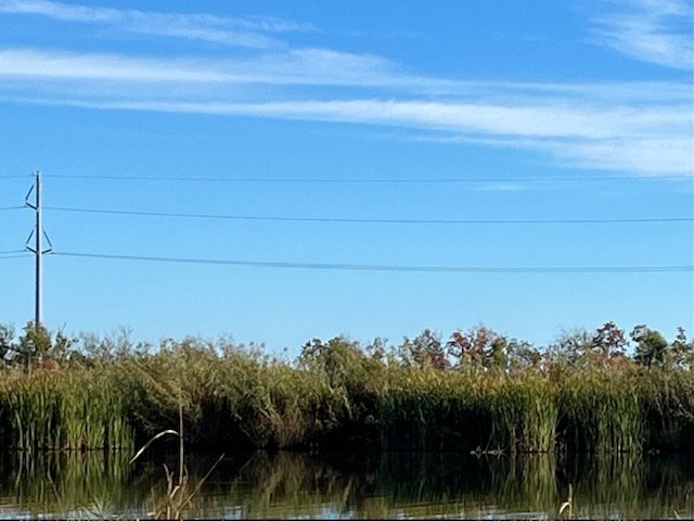 IMG_1530.jpg