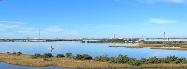 IMG_1533.jpg