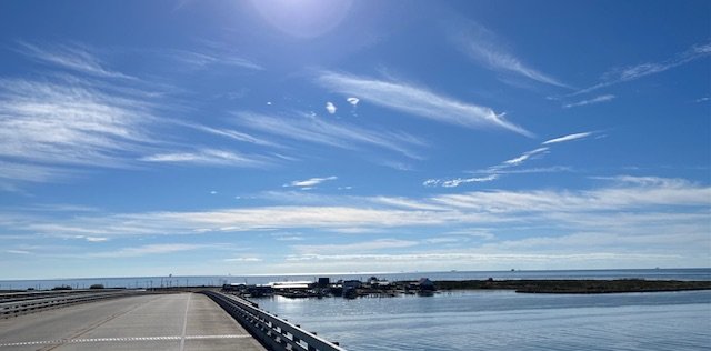 IMG_1536.jpg
