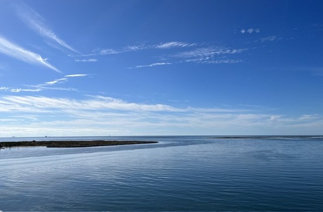 IMG_1537.jpg