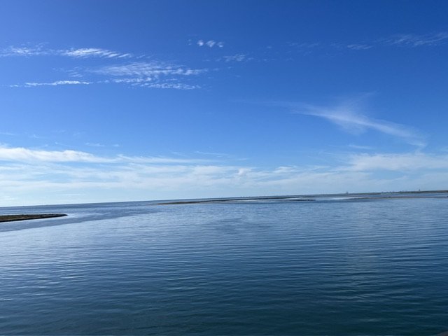 IMG_1538.jpg