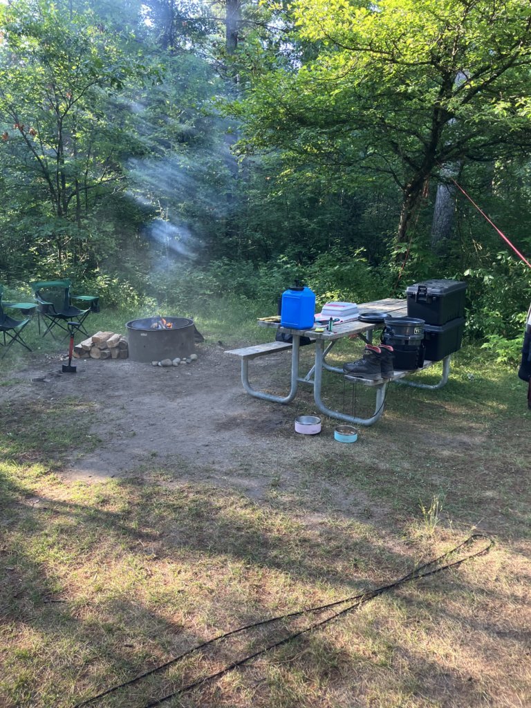 IMG_1561.jpg