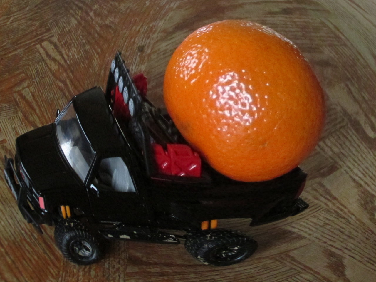 IMG_1563.jpg