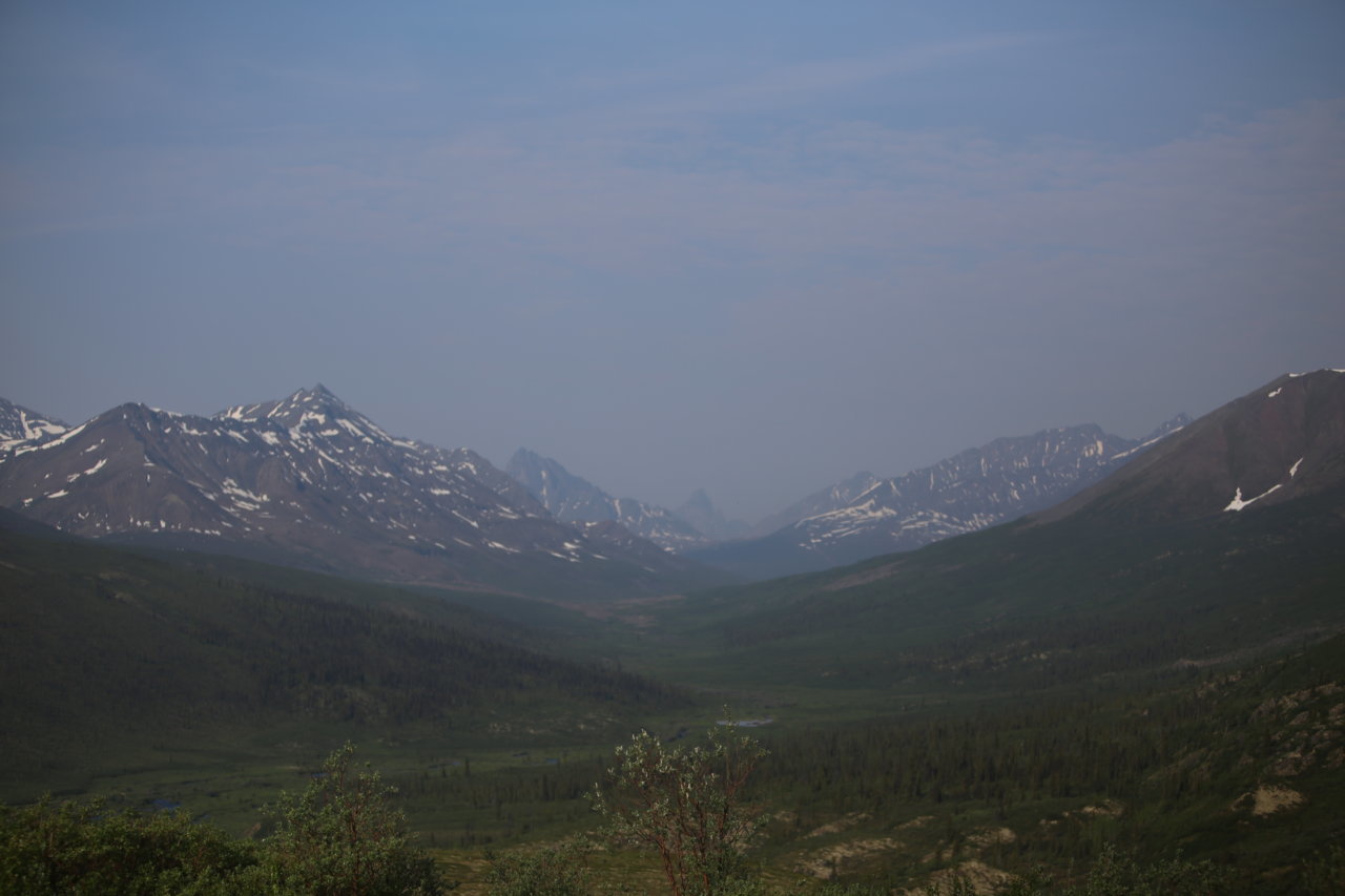 IMG_1591.jpg