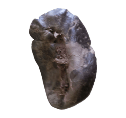 IMG_1611.png