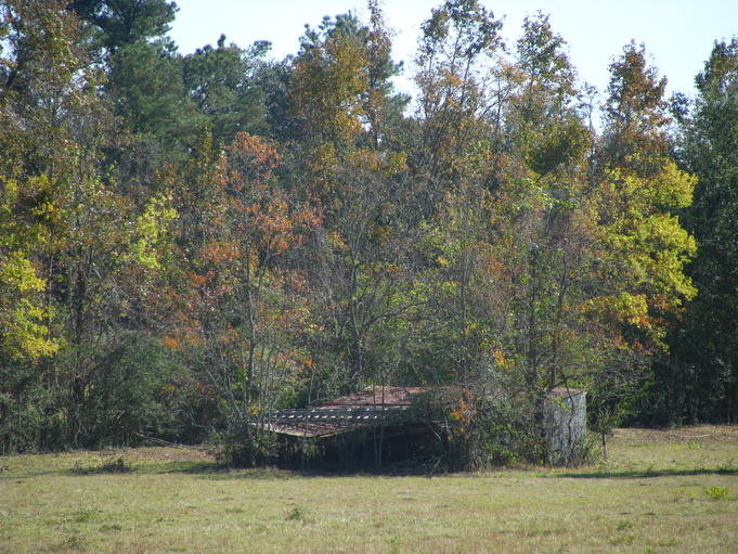 IMG_1622.jpg