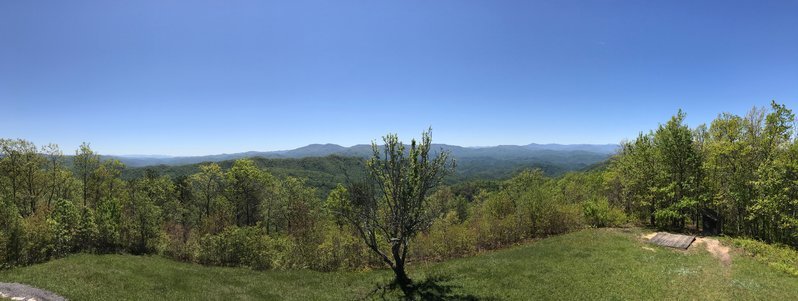 IMG_1654.jpg