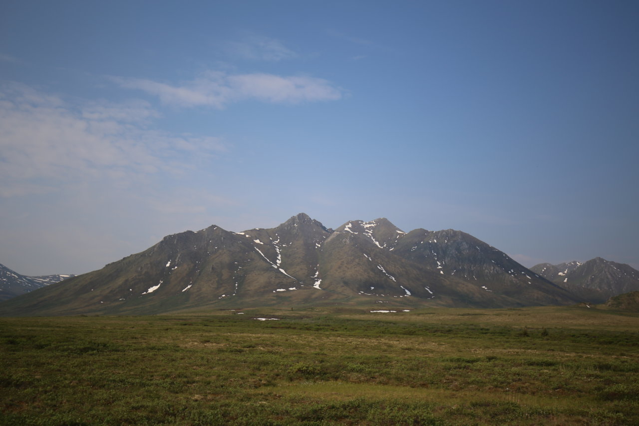 IMG_1657.jpg