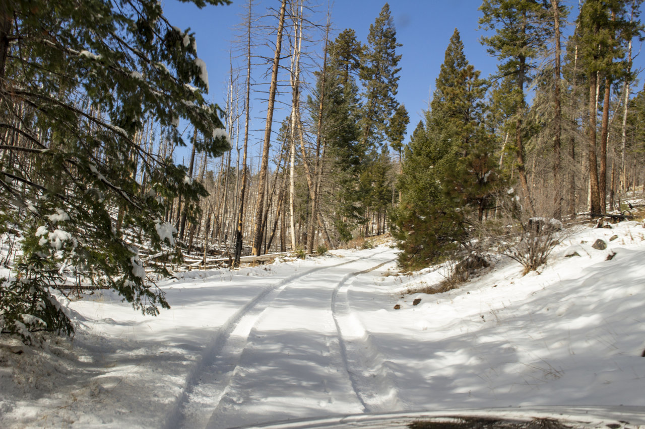 IMG_1690.jpg