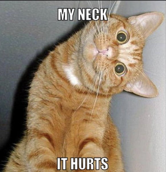 IMG_1690.PNG.jpg