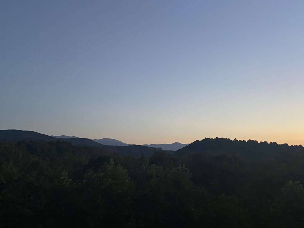 IMG_1711.jpg