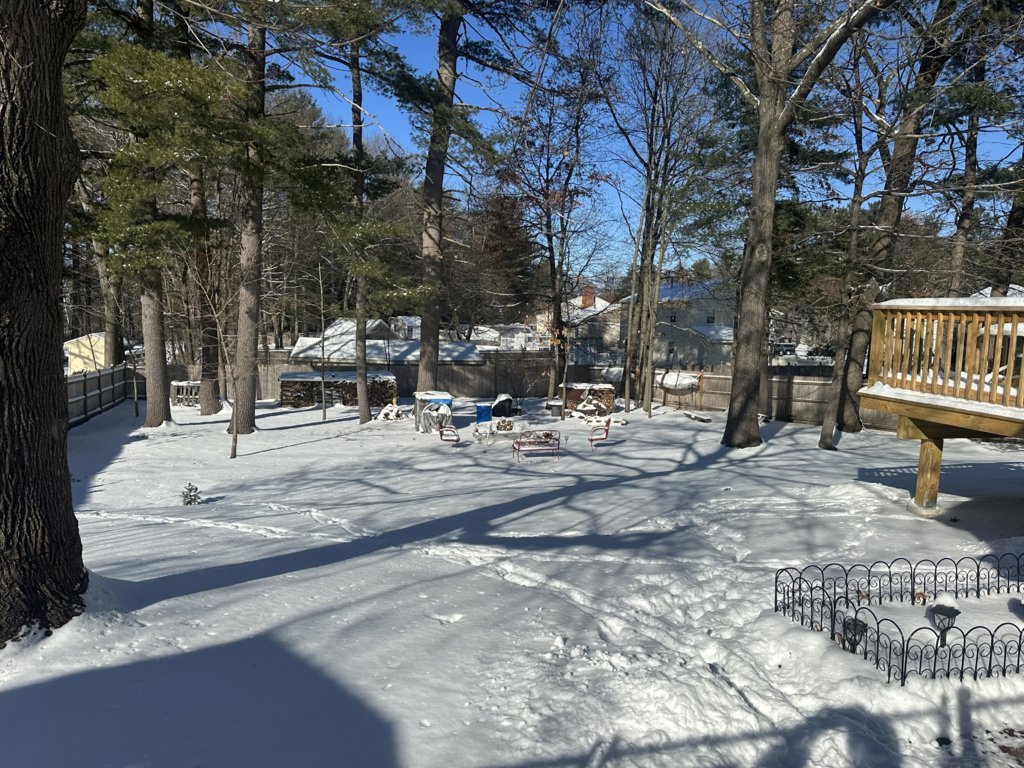 IMG_1712.jpg