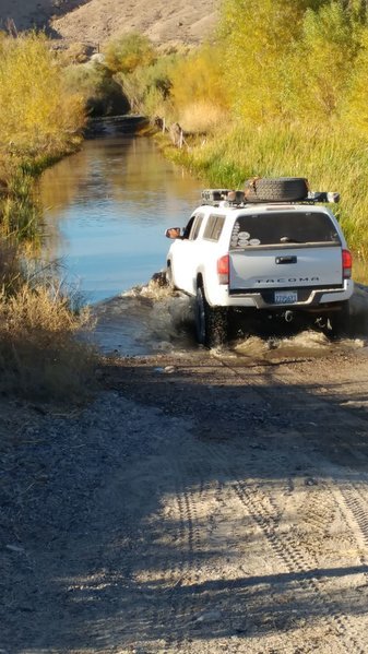 IMG_1739.jpg