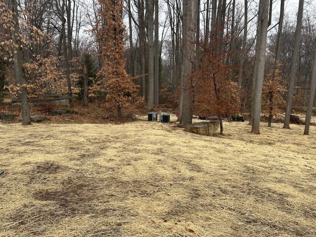 IMG_1743.jpg