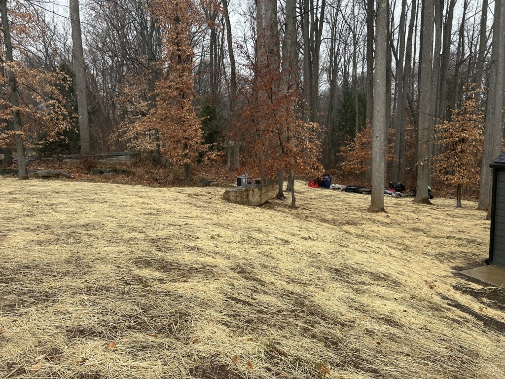 IMG_1744.jpg