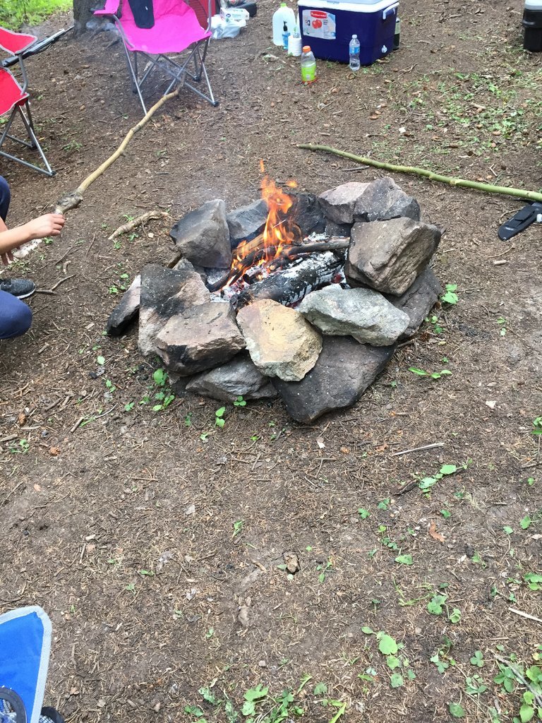 IMG_1746.jpg